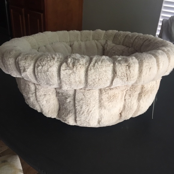 snooze paws cuddle cup